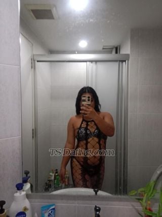 trans girl DaphneXOXO 3386010