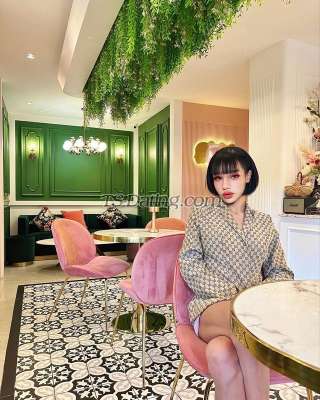 trans girl Dara101010 2291663 trans girl Dara101010 2291663