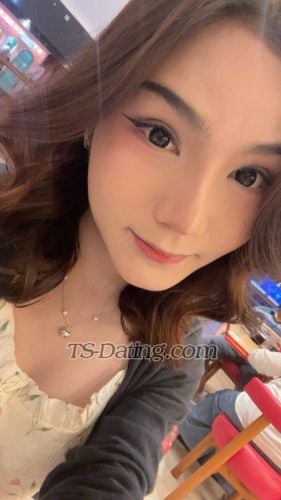 trans girl Daraaa 6090523 trans girl Daraaa 6090523