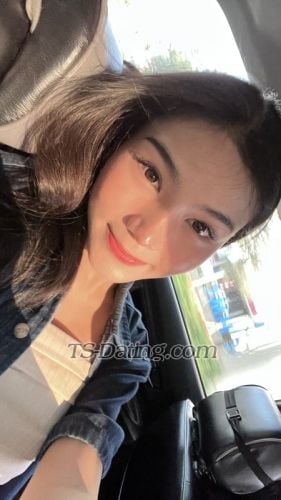 trans girl Daraaa 8034619 trans girl Daraaa 8034619