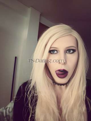 trans girl Darci 5003685 trans girl Darci 5003685