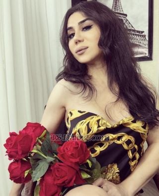 trans girl DarinaQueen 3484144
