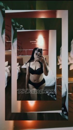 trans girl Daviena 8803751 trans girl Daviena 8803751