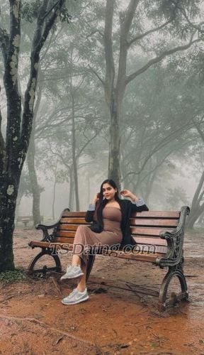 trans girl DesireQueen 8805522 trans girl DesireQueen 8805522