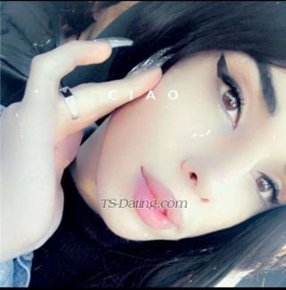 trans girl Diana555 3721296 trans girl Diana555 3721296