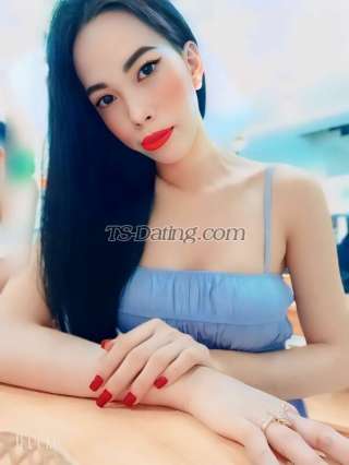 trans girl DiemMy 6931233 trans girl DiemMy 6931233