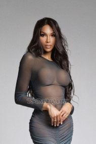 Diionne Madrid Transex Para hombres de buen gusto y buena posición, soy Dionne, la mujer que te dejará sin aliento.
Te garantizo una experiencia exquisita, ¡una que querrás repetir mil veces!✨

Soy exactamente igual que en mis fotos: alta, esbelta y con unas curvas que te volverán loco... 

🌸¡SOY UNA AUTÉNTICA MUÑECA! 🌸

Me encanta el lujo y ser tratada de la misma manera. El respeto y la buena vibra hacen parte de mi esencia, así que menos de eso, no acepto!
Estoy tanto disponible para verme en mi lugar como para desplazarme al tuyo. 
También dispongo de salidas internacionales, si eres un estándar más alto, seré la indicada! 🌏

Para los hombres que coleccionan “FOTOS” advierto que no envío absolutamente nada por DM, si deseas ver más, te tocará disfrutarlo en persona💎✨

Envíame un mensaje por SMS o directamente por WhatsApp para concretar alguna cita o verificar nuestra existencia. 

Te espero con ansias!
