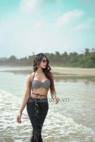 trans girl Dimplee 5927915 trans girl Dimplee 5927915