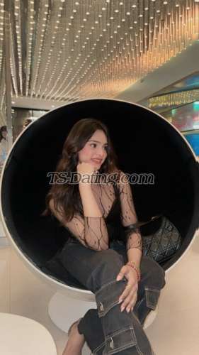 trans girl Dimplee 8030636 trans girl Dimplee 8030636