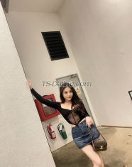 Dior88 Lampung Transex Hello, all guys, my name is Dior I'm an original Thai ,
24years old. I love to care for all who love a romantic and
love to have a happy time If you are looking forward to
young ladyboy with entertainment and cute and massage, I am
the one who could service you. You can message me or call me
all the time. If you have any information, please let me
know,📱 Telegram: @donut9733💚 LINE:
line.me/ti/p/_zQk96qj3J🐦 Twitter: @sexyme241