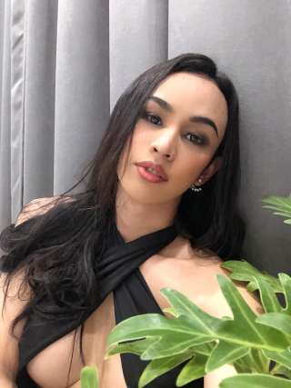 trans girl Dissara 1356544 trans girl Dissara 1356544