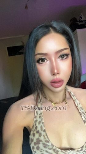 trans girl DolphinPink 7032164 trans girl DolphinPink 7032164