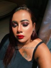 Shemale-Domgirlpussy-3074536 