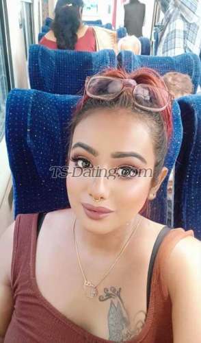 trans girl Domgirlpussy 6053366 trans girl Domgirlpussy 6053366