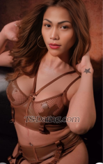 Dominanttrans Angeles City Transex  Hello every one im trans from Angeles city and I'm happy to offer the  different show that make u satisfy.
Solo show    25$
Trans with trans  40$
Trans with girl  50$
Trans with men 35$
Dirty show 40$
Domination 30$
I'm not here to play game if you are trying to trick me I don't have time for that .
