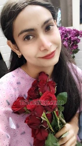 trans girl DomtopQueen 0226632 trans girl DomtopQueen 0226632
