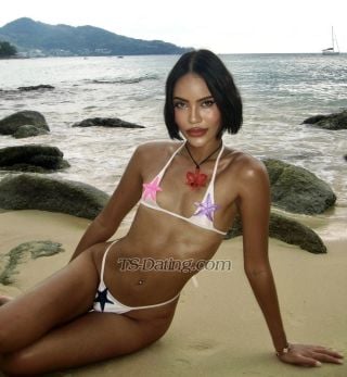 trans girl DorothyKOL 4241288