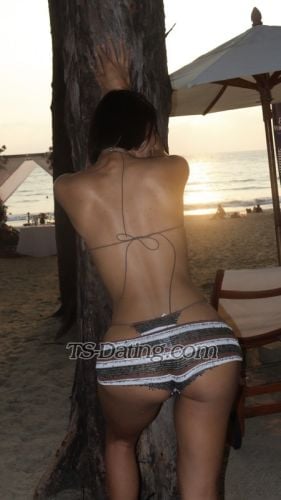 trans girl DorothyKOL 5882447 trans girl DorothyKOL 5882447