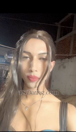 trans girl Dreamydiva 7824742 trans girl Dreamydiva 7824742