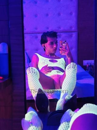 Shemale-Dreamydiva-9589759 