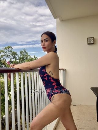 trans girl dProvocateur 6048760