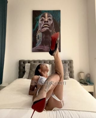 trans girl diane24 2295636 trans girl diane24 2295636