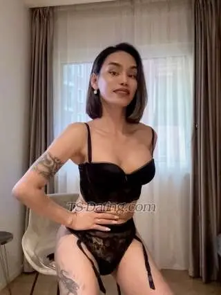 Shemale diane24 9668799 Shemale diane24 9668799