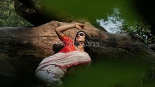 trans girl dirtyCutee 2078755 trans girl dirtyCutee 2078755