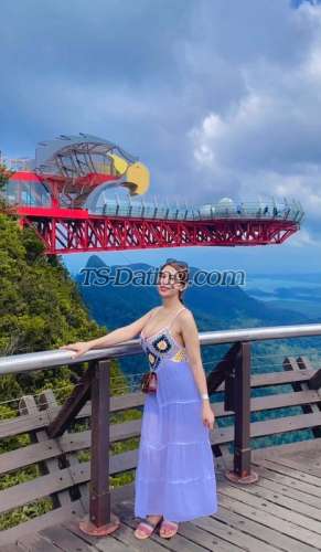 trans girl dollybarbie 2263676