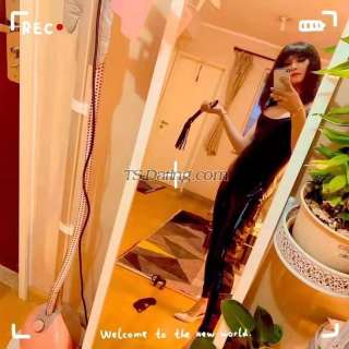 trans girl Eiffel666 0590022 trans girl Eiffel666 0590022