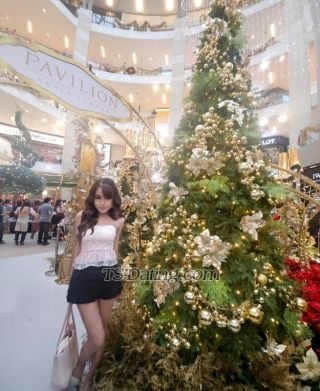 trans girl Elizabethone 6940513 trans girl Elizabethone 6940513