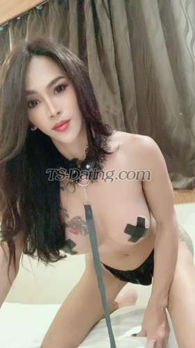 trans girl EllaBigDick 7666041 trans girl EllaBigDick 7666041