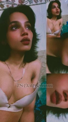 trans girl Elveera 6409585 trans girl Elveera 6409585