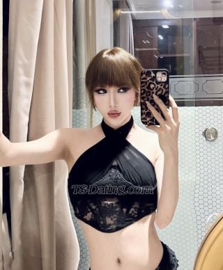 trans girl Emilia0402 8238525