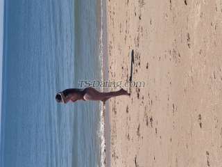 trans girl EmillyJapa 3597340