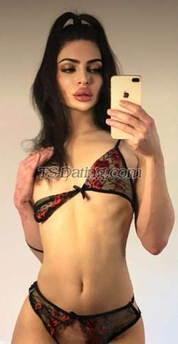 trans girl EmilyMass 6241612 trans girl EmilyMass 6241612