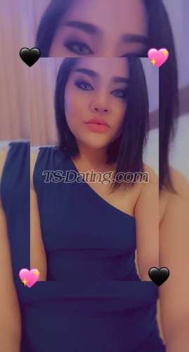 trans girl Emmy24589 8979899 trans girl Emmy24589 8979899