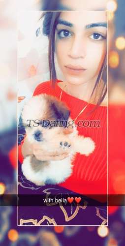 trans girl Evafairy 0502922 trans girl Evafairy 0502922