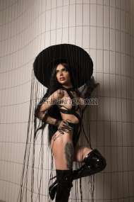 Ella Shemale ellashemale ellashemale Yerevan Transex ⚜️Your Exclusive Fantasy ✨VIP & ELITE✨
I’m a
stunning, ELITE SHEMALE — sensual, seductive, and
irresistibly feminine. With a LUXURY ⚜️ lifestyle and
taste to match, I offer an experience reserved for true
gentlemen who appreciate the finer things.
ACTIVE
– PASSIVE 🔥🍆
🗣️ I speak English &
Russian
🌶️ Real size: 20×4 cm — and yes, I
cum! 💦
Classy, elegant, and always top-level!
🥇
🔝 All photos are 100% real — I can prove
it on cam.
Confident, sexy, and always
professional, I bring elegance and passion to every moment
we share. Whether you seek intimate connection, high-class
company, or unforgettable pleasure, I’m the best —
because I settle for nothing less than
perfection.
✨Unique. Fabulous. Desire. Total
Discretion.✨
Everything is safe, private, and strictly
confidential — just you, me, and unforgettable pleasure.
💋🤐🔐