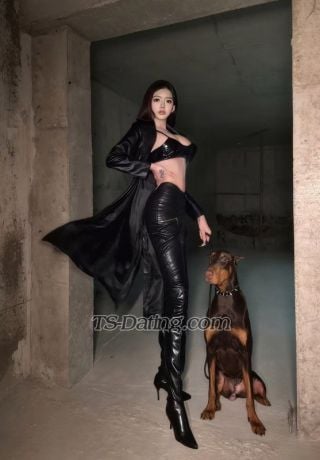 trans girl enxibaby 7419278 trans girl enxibaby 7419278