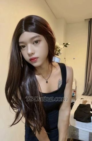 trans girl evalina 7214536 trans girl evalina 7214536