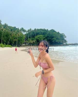 trans girl Fah1308 8860155 trans girl Fah1308 8860155