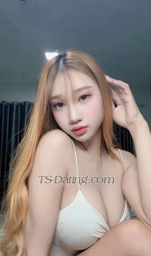 trans girl Fari22 5260513 trans girl Fari22 5260513