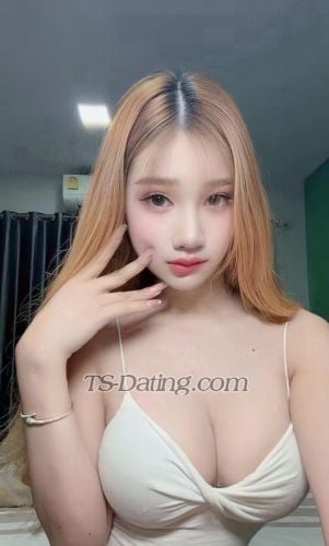 trans girl Fari22 5260597 trans girl Fari22 5260597