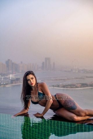 trans girl Fezinha 3436485 trans girl Fezinha 3436485
