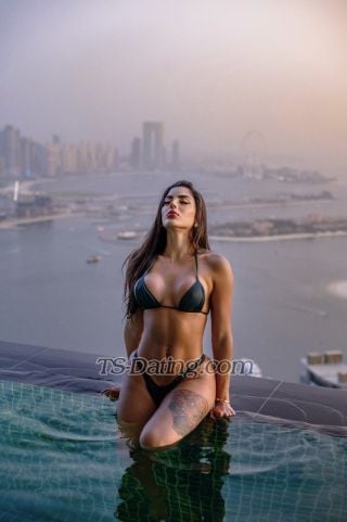 trans girl Fezinha 3436608 trans girl Fezinha 3436608