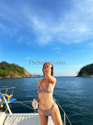 trans girl Fommee 5004629 trans girl Fommee 5004629