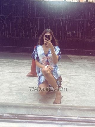 trans girl FoxiGINA 6756323 trans girl FoxiGINA 6756323