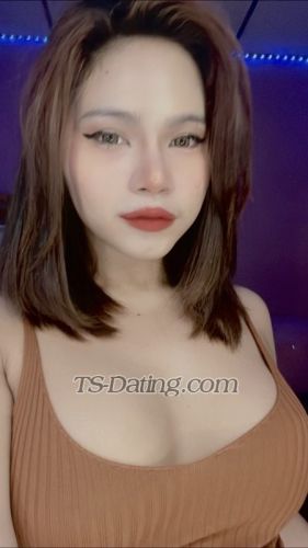 trans girl FoxySofea 7645823 trans girl FoxySofea 7645823