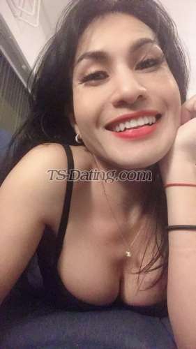 Shemale-farada2528-8539531